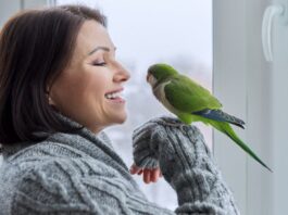 Do Birds Count As Pets in Apartments